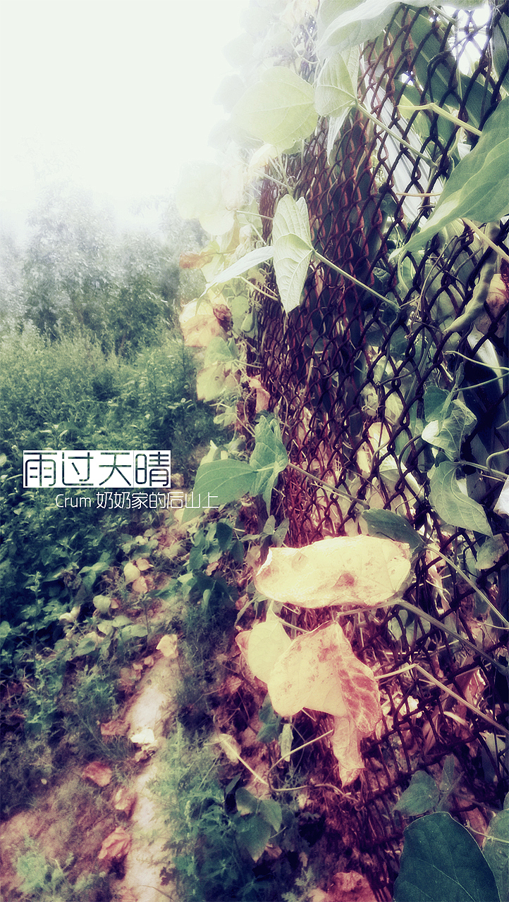 一些摄影（图ZNTMwNTcwMTY=） - 风光摄影 - 站酷设计师Crum原创素材 - 站酷ZCOOL