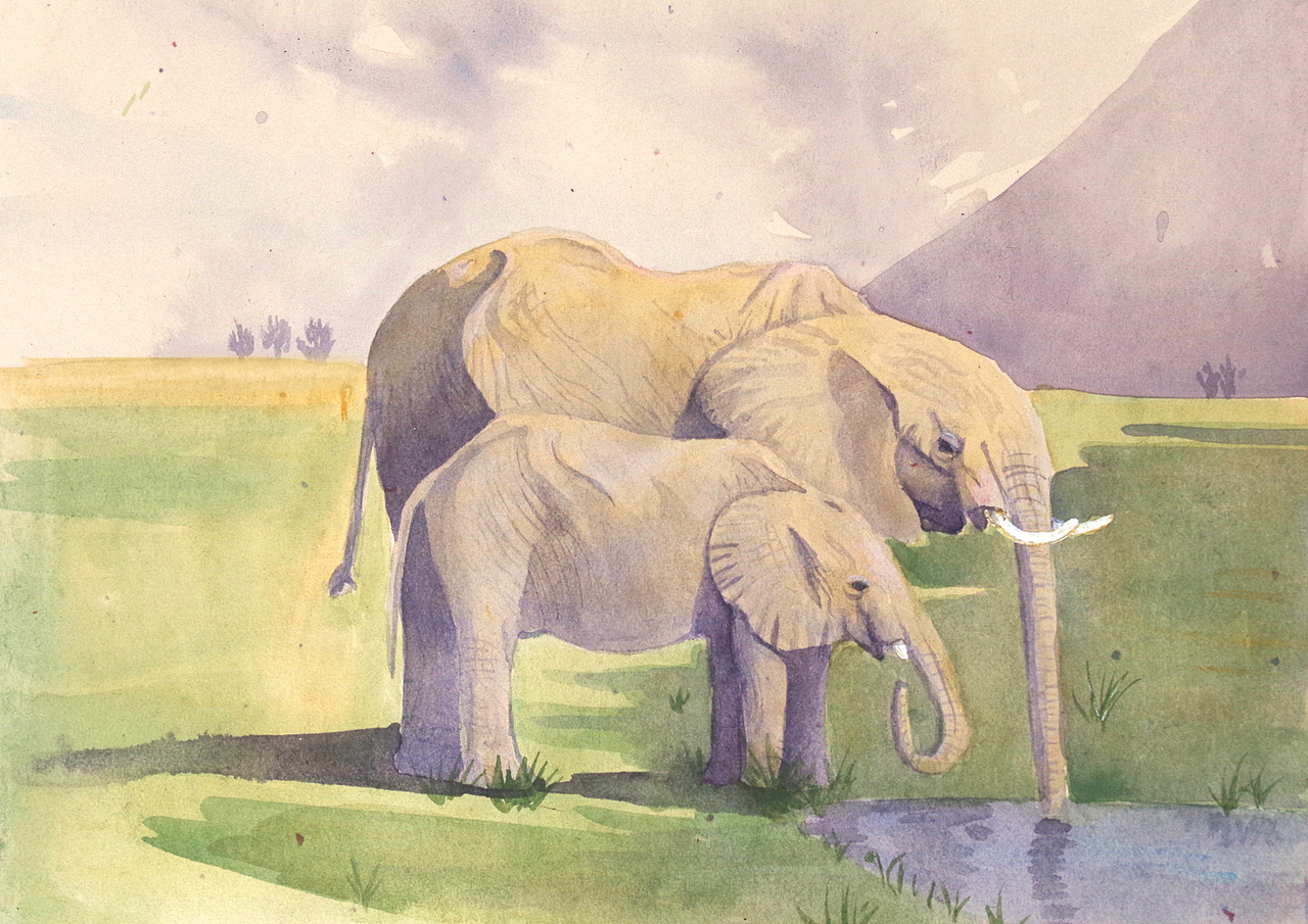 自然笔记（图ZNjg2NTA5NzY=） - 艺术插画 - 站酷设计师早寻原创素材 - 站酷ZCOOL