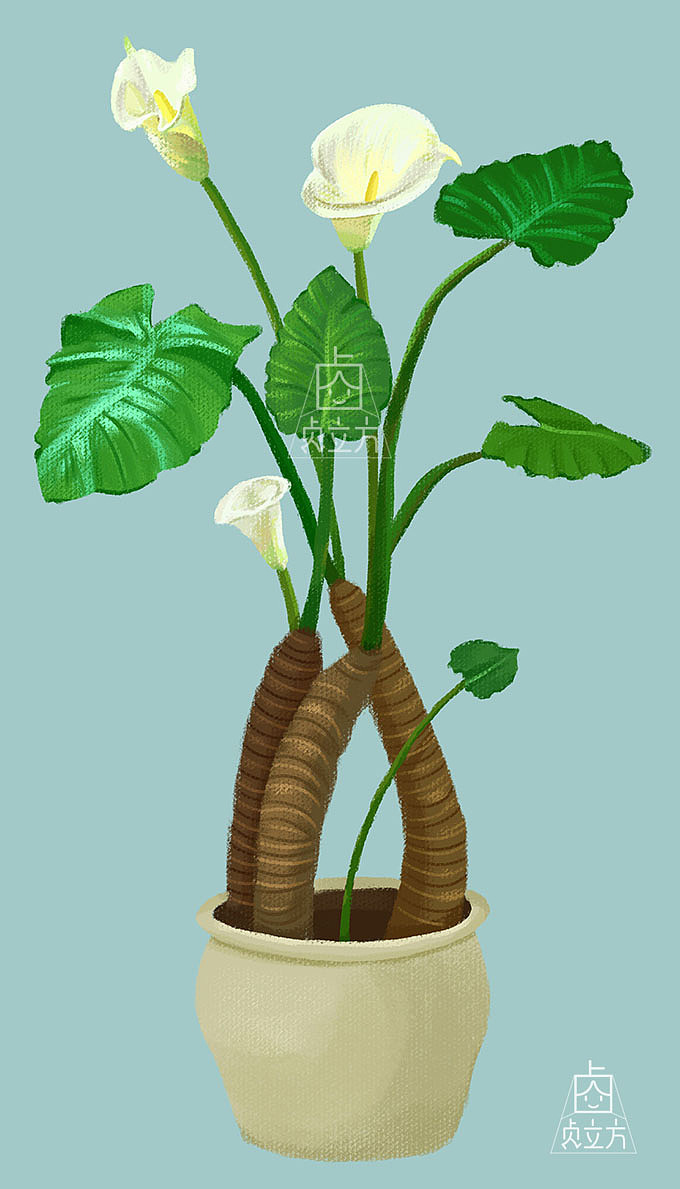 植物插画练习（图ZMjA0NDM2ODc2） - 创作习作 - 站酷设计师贞立方原创素材 - 站酷ZCOOL