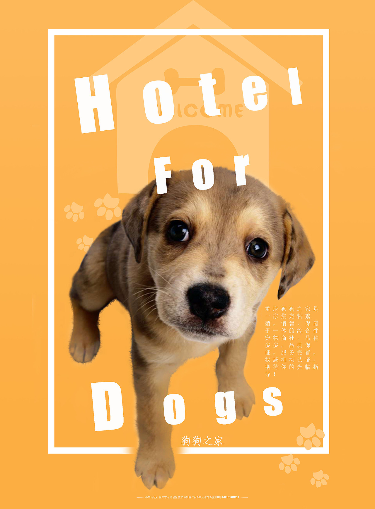 宠物店宣传海报重庆/设计爱好者/7年前/153浏览小丸子不圆12