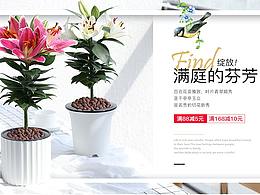 网店盆栽首页