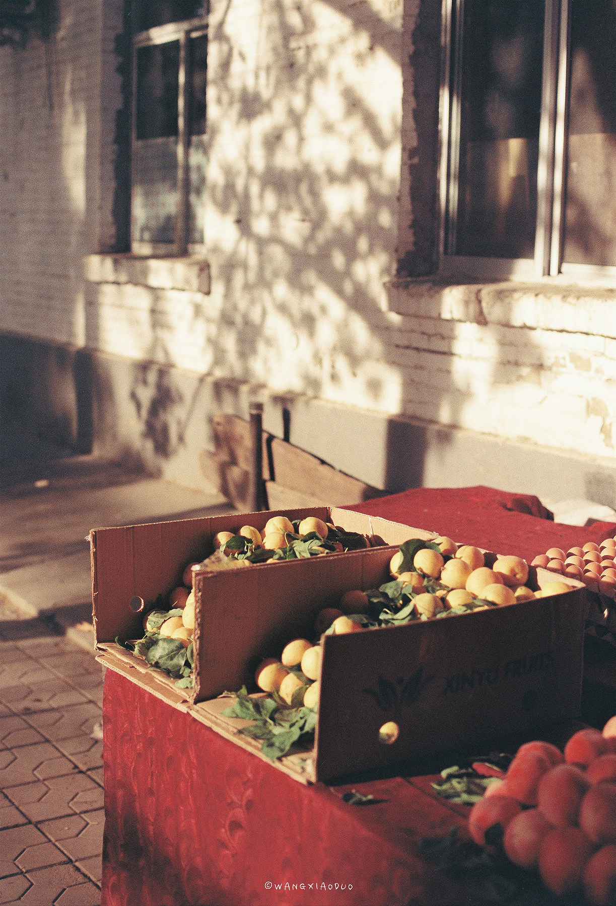 午后时光（图ZMTE4MDAzNTU2） - 人像摄影 - 站酷设计师王小多原创素材 - 站酷ZCOOL