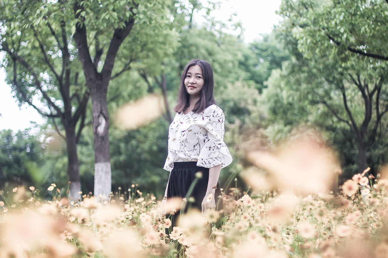 -----------------分格线---------------