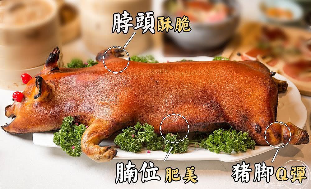 百色哪里有烤猪技术培训LWJ-红松叶-晏晓（图ZMTMyODgyMzQ0） - 其他 - 站酷设计师Z11472869原创素材 - 站酷ZCOOL