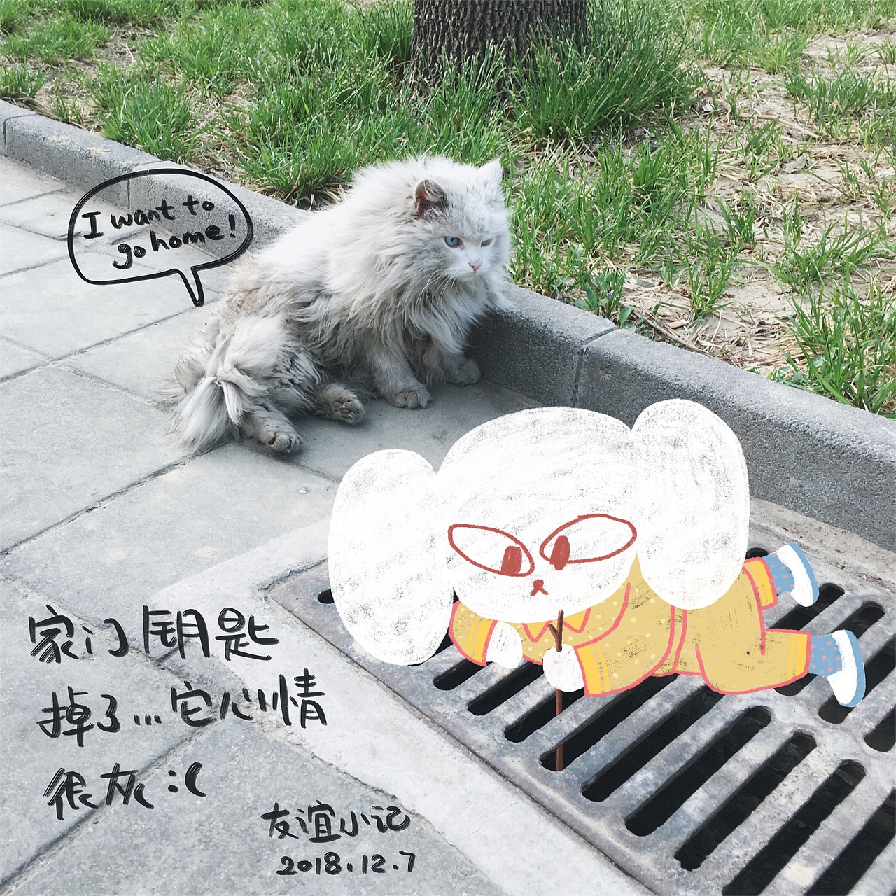 TOO谈:生活趣闻系列