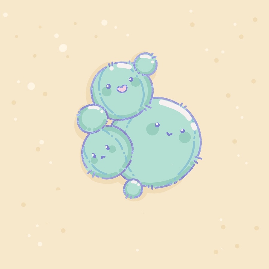 Cheya的赶海日记