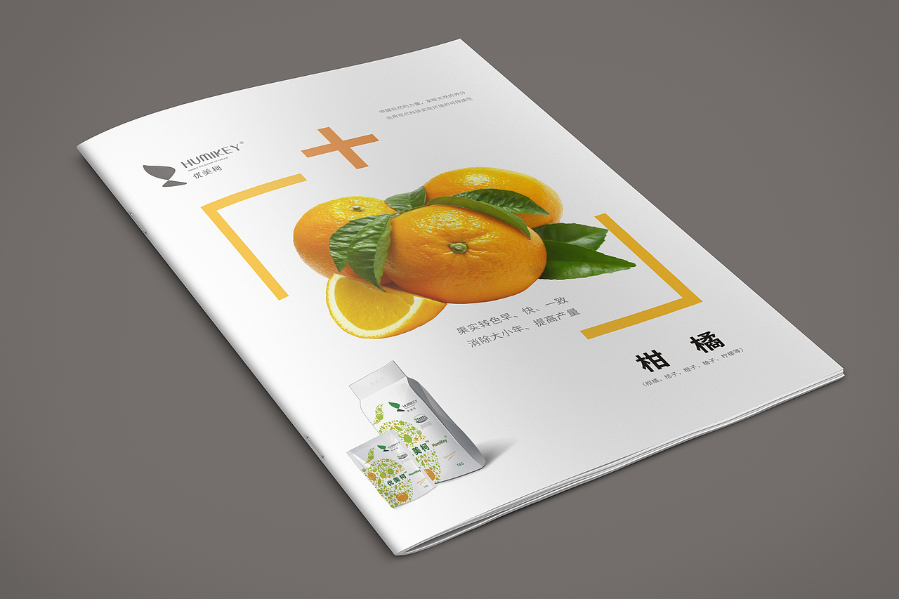 2016--單頁（圖ZNTQyNDMyNjg=） - 宣傳物料 - 站酷設(shè)計師楊鵬西安原創(chuàng)素材 - 站酷ZCOOL