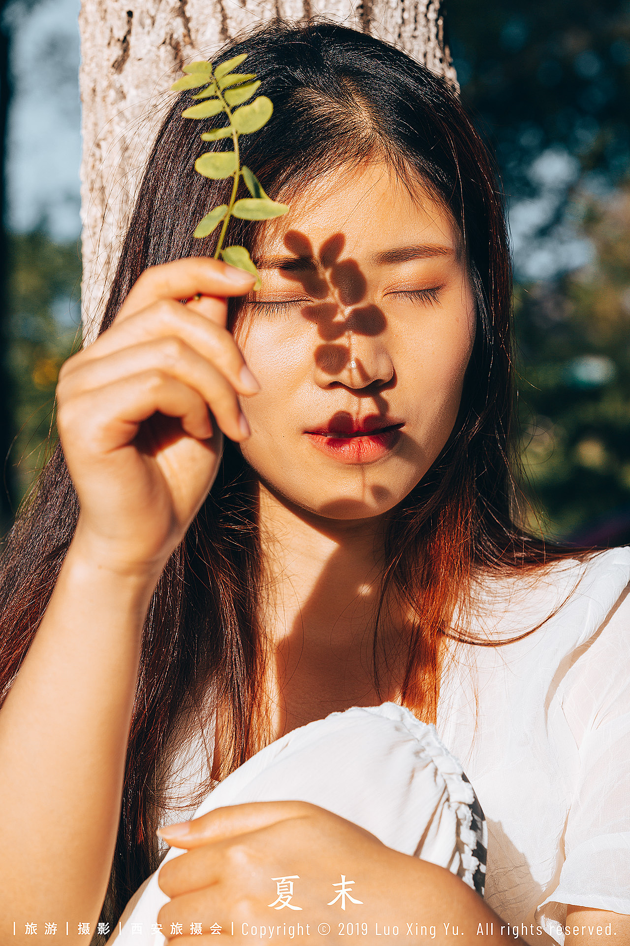 夏末,让所有的遗憾都成为秋天惊喜的铺垫