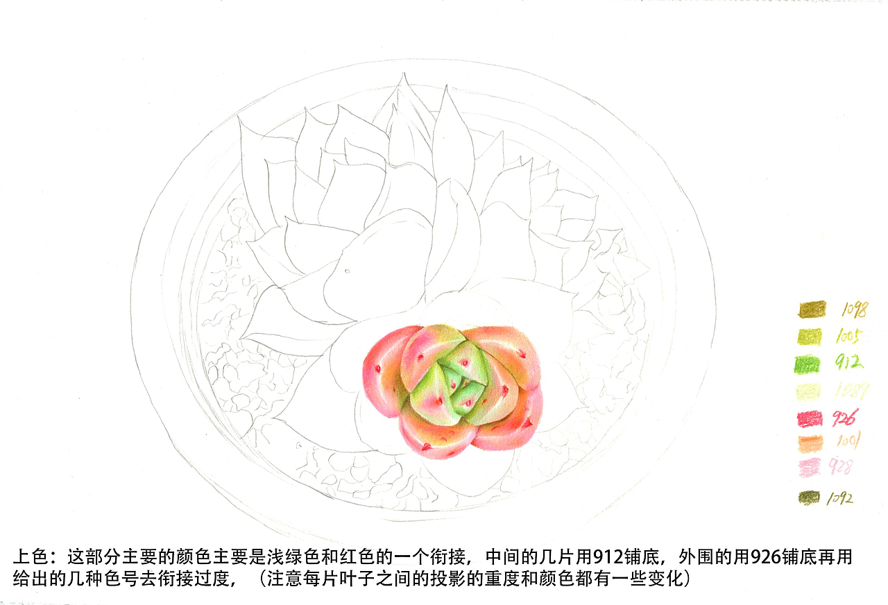 彩铅多肉教程（图ZMTQ4MTY1NjY4） - 绘画 - 站酷设计师拾光者Art原创素材 - 站酷ZCOOL