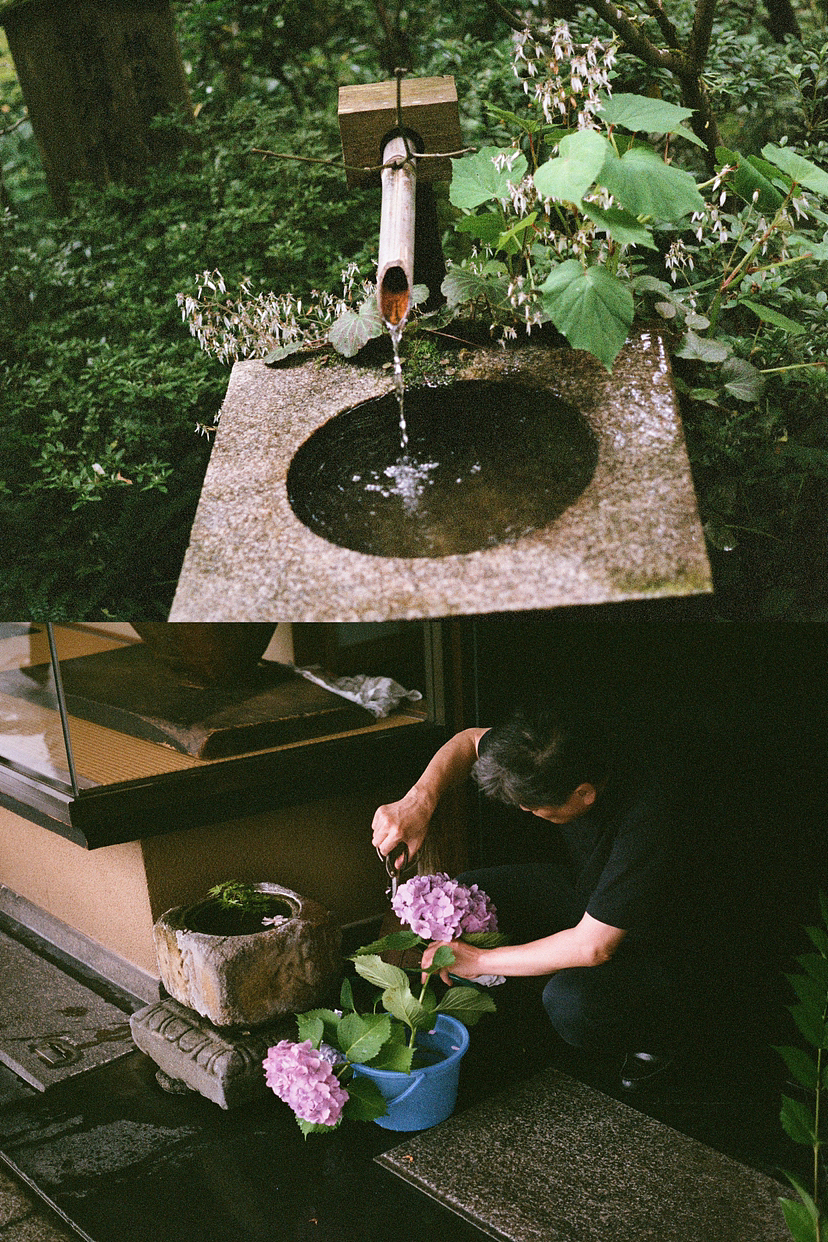 2023年日本关西之旅