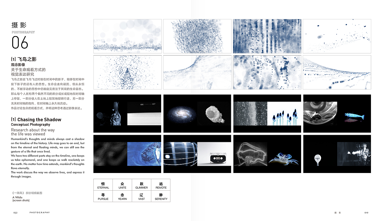 飞鸟之影 关于生命观看方式的视觉表达研究