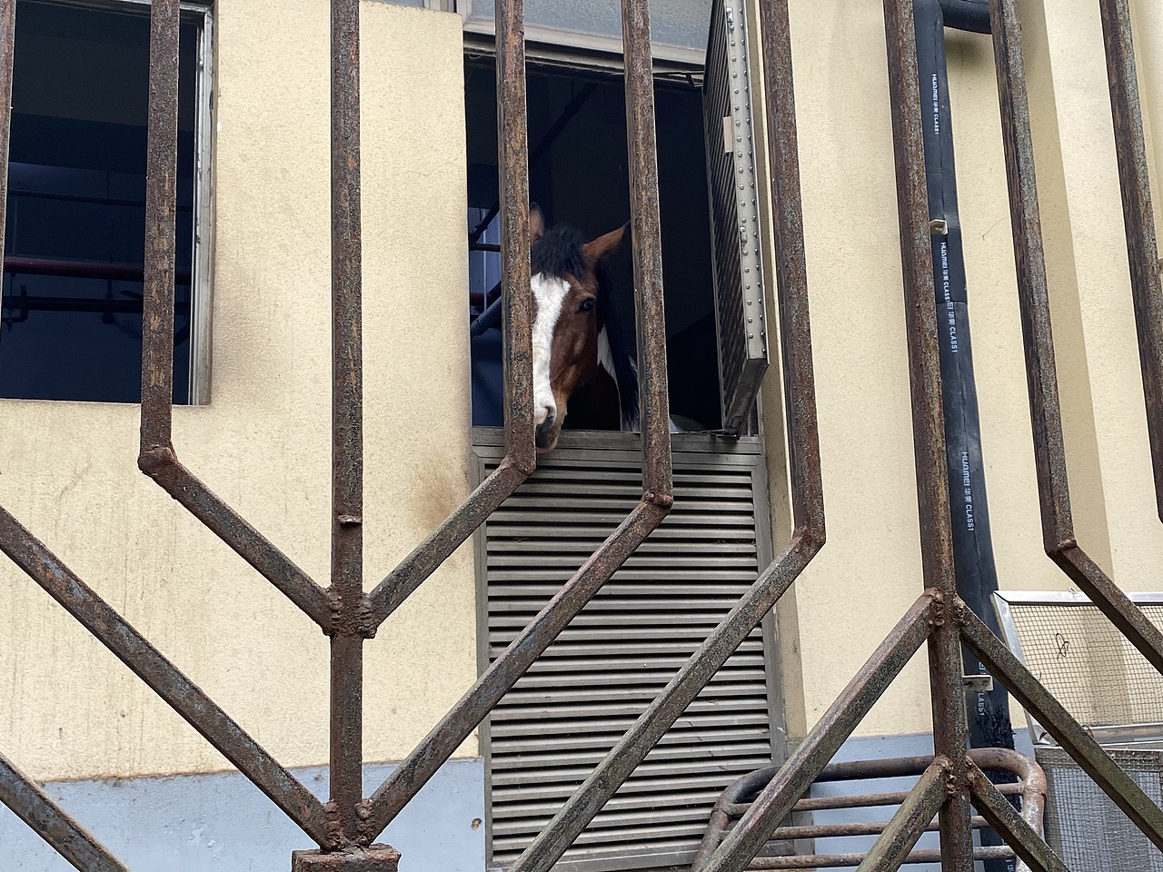 生活小照（圖ZMjU2NTc5MTQw） - 人文/紀(jì)實(shí)攝影 - 站酷設(shè)計(jì)師蘑菇mm原創(chuàng)素材 - 站酷ZCOOL