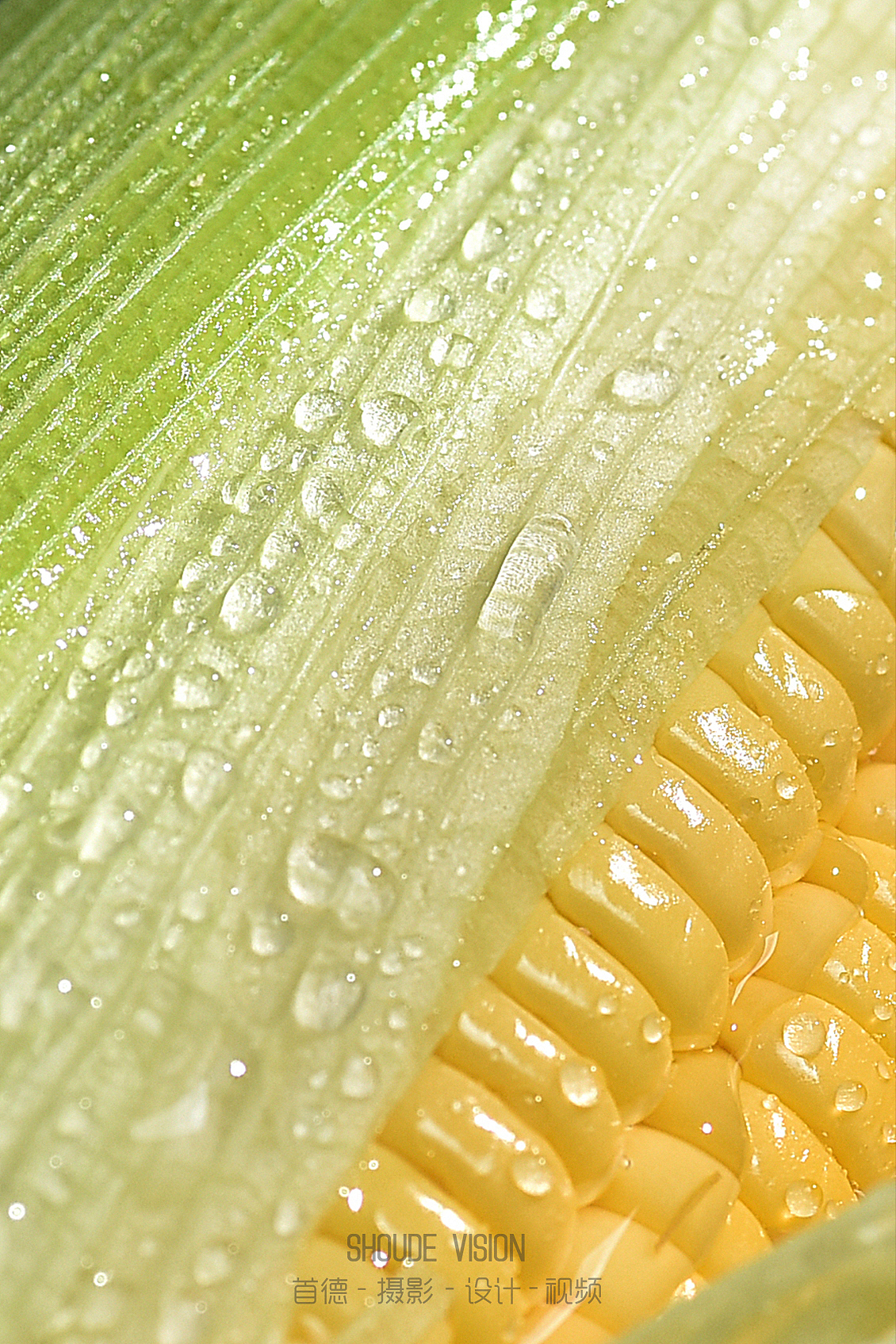 来一组蔬菜集合