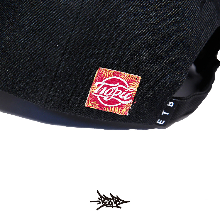 E.T.B 2016 tropic flamingo cap（图ZNTMwMzU1MzY=） - 新锐潮流插画 - 站酷设计师semsem原创素材 - 站酷ZCOOL