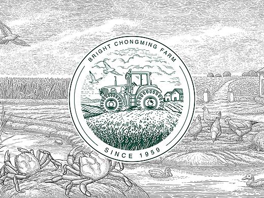 光明|崇明农场