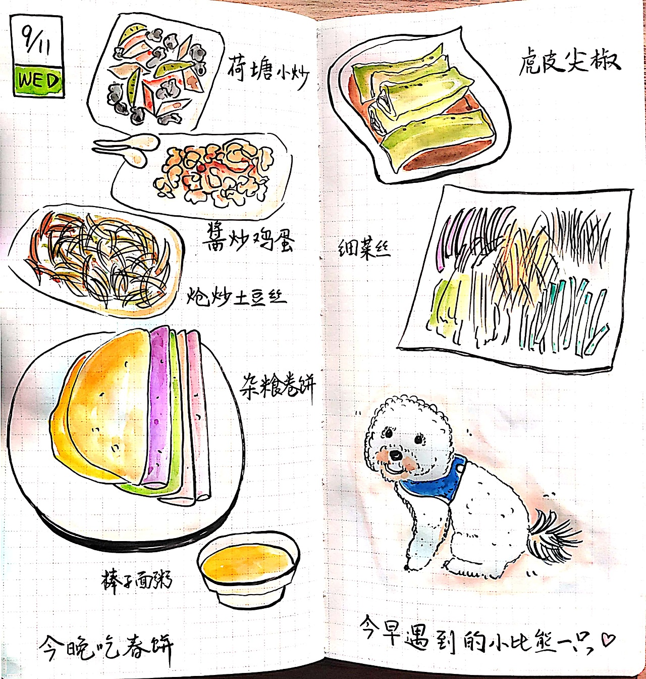 春楠手账2019(一)