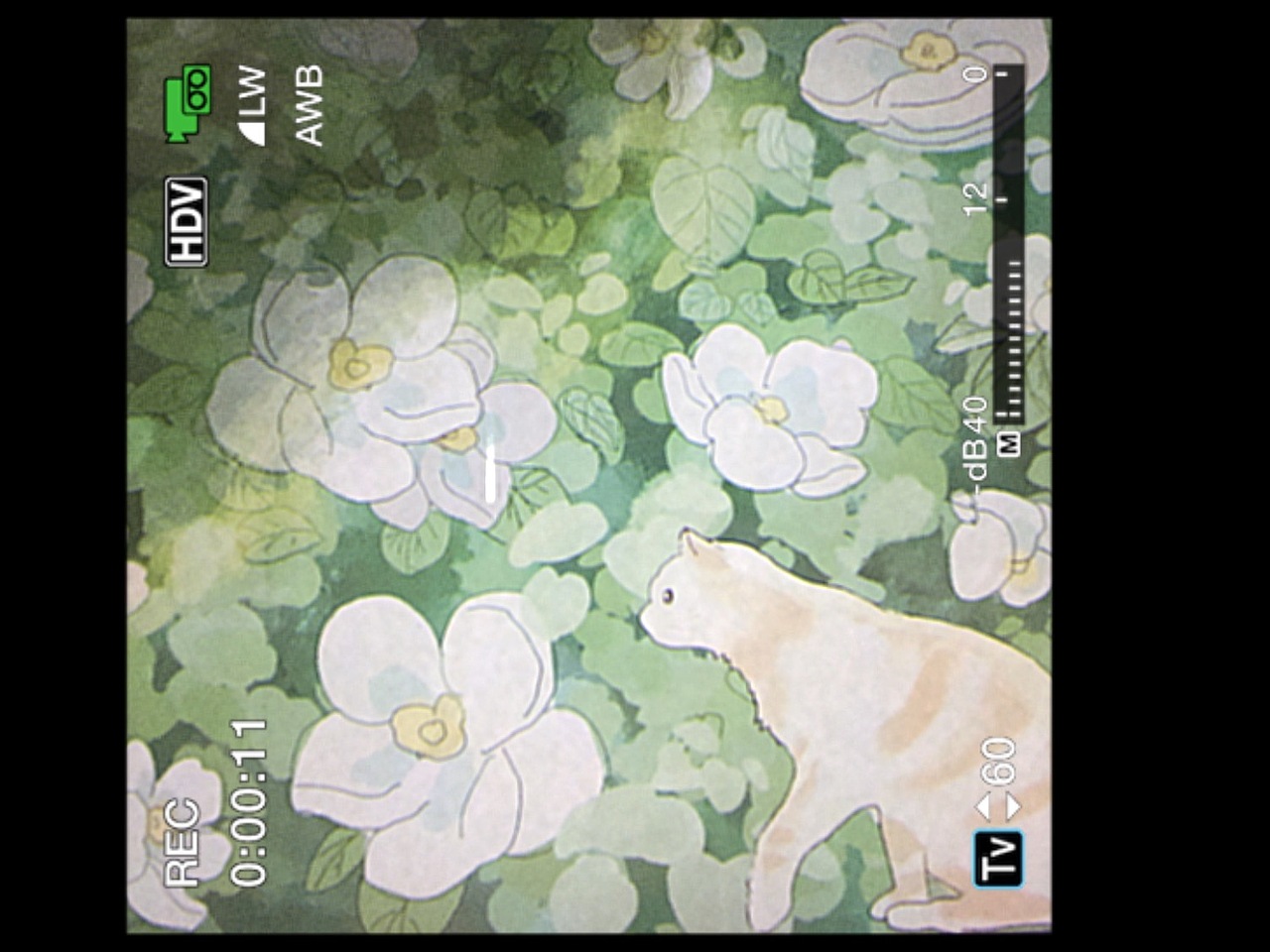 猫与花（图ZMjcyNDk0MjE2） - 创作习作 - 站酷设计师十六ou原创素材 - 站酷ZCOOL