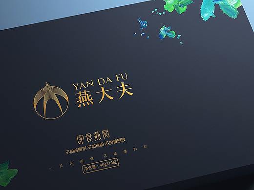 燕大夫燕窝包装设计