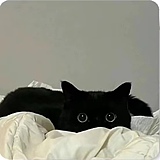 小凯ovo的头像