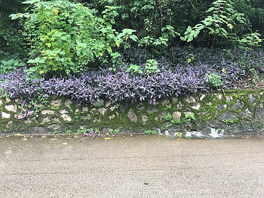 戏曲（个人主页-ZMzI4OTQ1NDA=） - 绘画 - 站酷设计师逍某原创素材 - 站酷ZCOOL