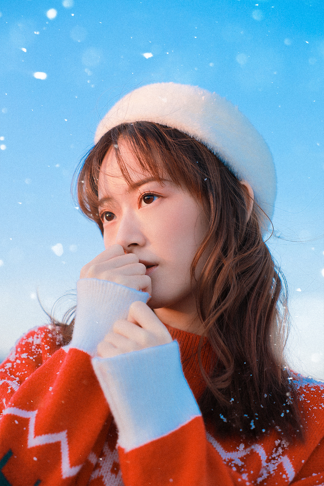 雪下的时候冬日雪景写真