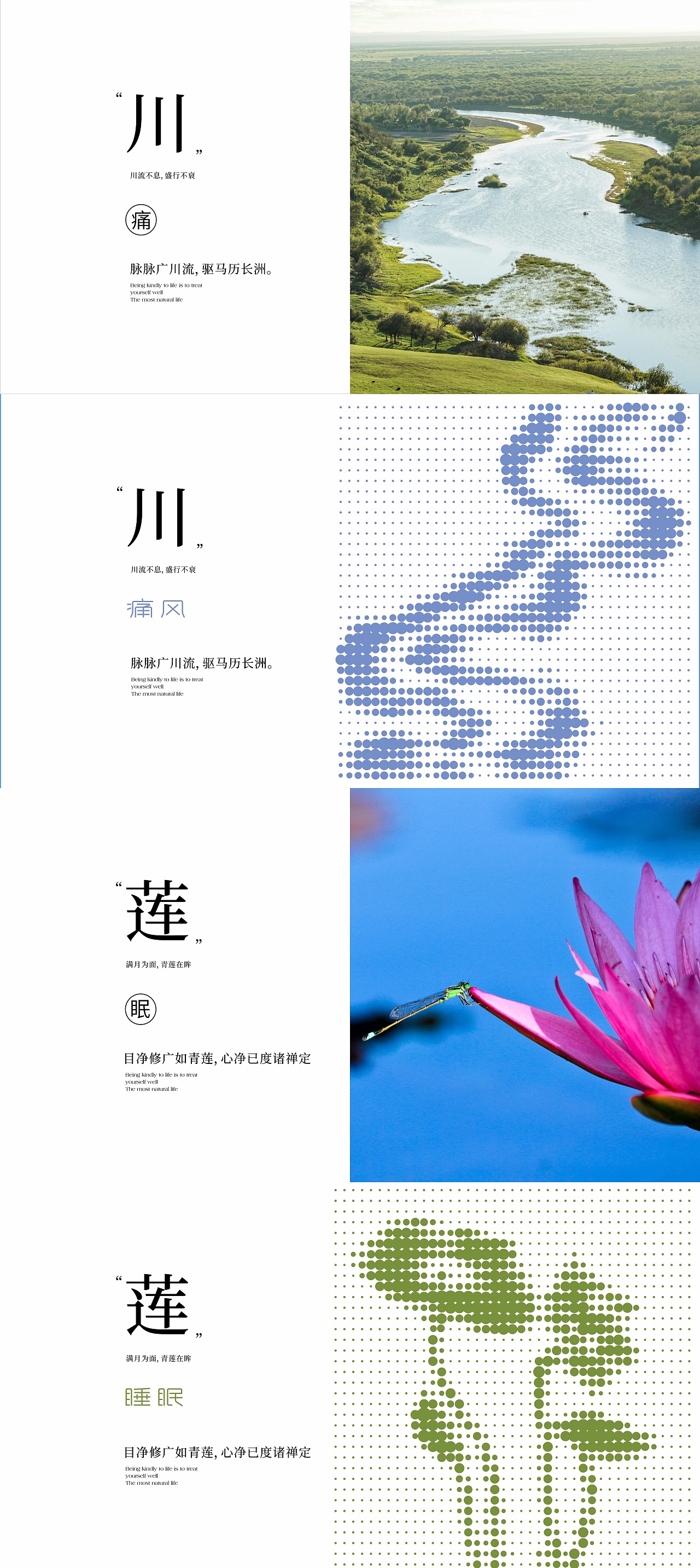 善式健康品牌设计|包装设计