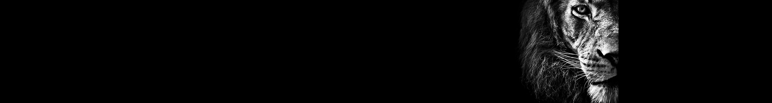 Mark馬克筆的個(gè)人主頁(yè)（封面預(yù)覽） - 主頁(yè)封面設(shè)置 - 站酷設(shè)計(jì)師Mark馬克筆原創(chuàng)素材 - 站酷ZCOOL