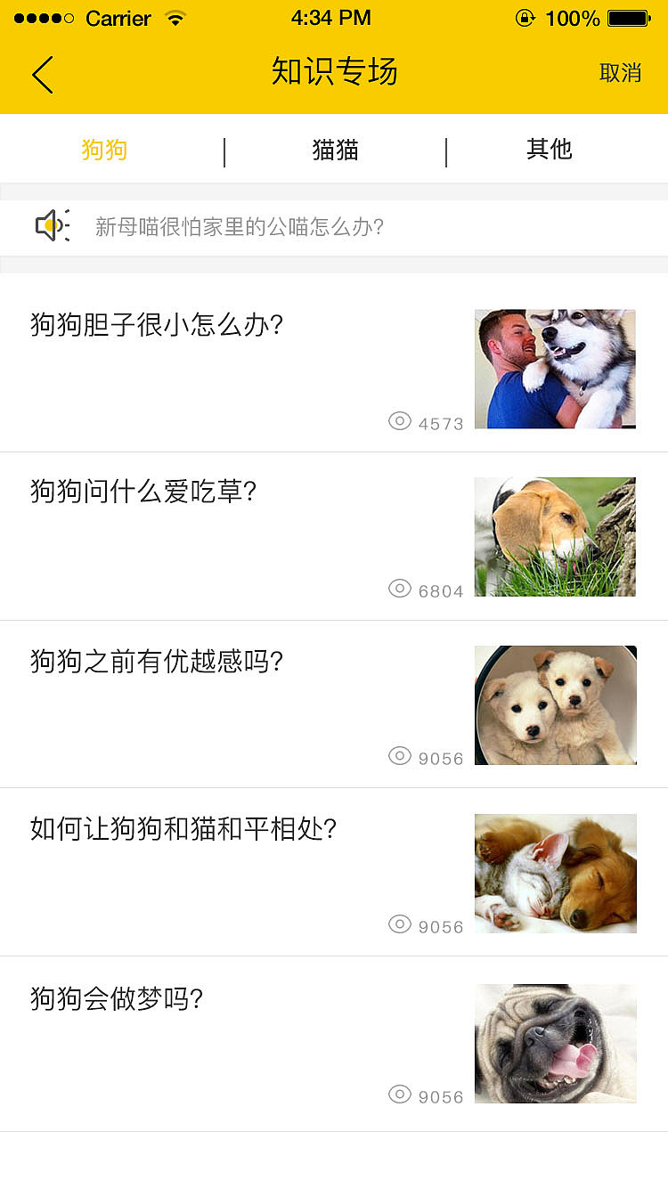 小宠无忧（图ZMTQxMjIzNjQ0） - APP界面 - 站酷设计师Z88989928原创素材 - 站酷ZCOOL