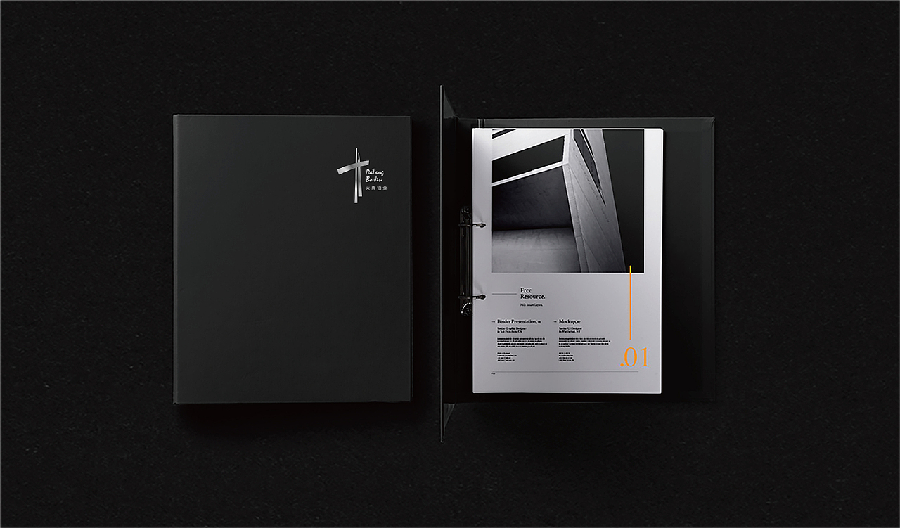 大唐铂金装饰公司形象设计