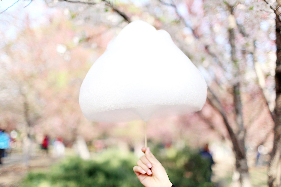 桜花树下。（图ZNDU4OTc0NDg=） - 人文/纪实摄影 - 站酷设计师Lightblue7原创素材 - 站酷ZCOOL