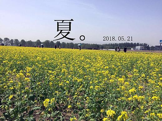 夏令营专题页