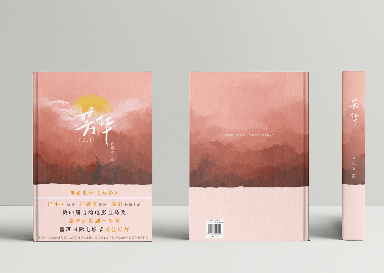 芳华小说书籍封面设计