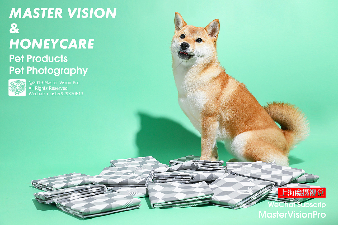 宠物吃喝生活一条龙全包|产品摄影|上海魔摄视觉