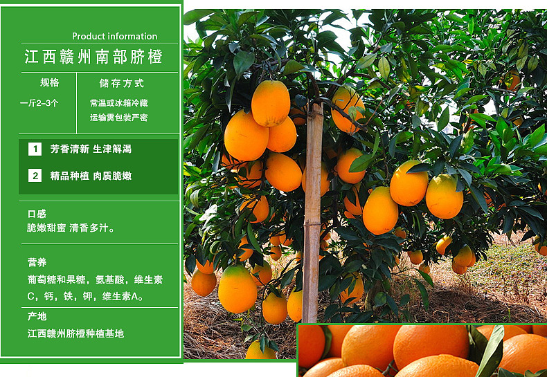 赣南脐橙-天猫详情页（图ZNjQxNDgyNTY=） - 电商 - 站酷设计师Aries丶垚原创素材 - 站酷ZCOOL