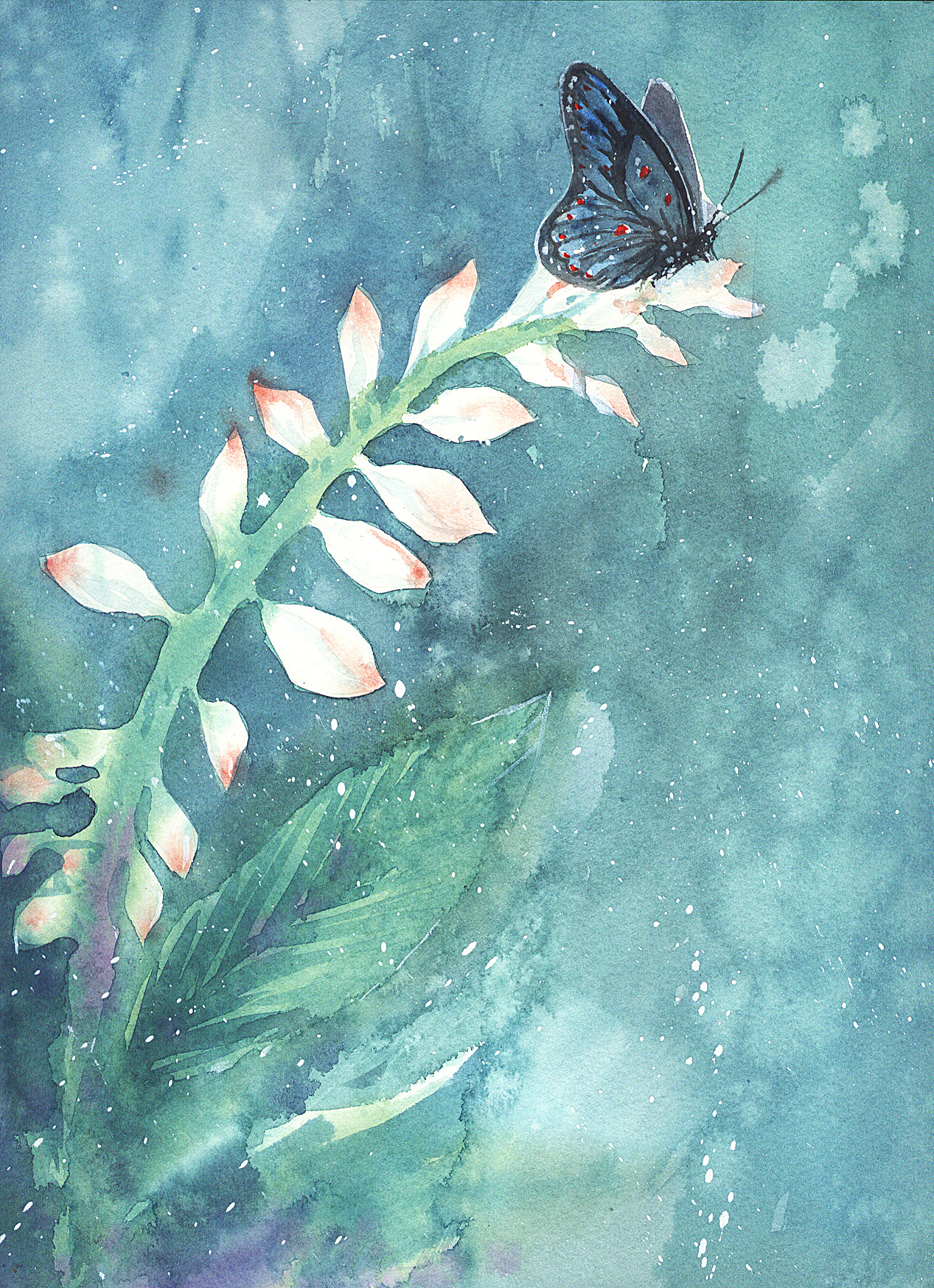    花和蝴蝶有参考图片