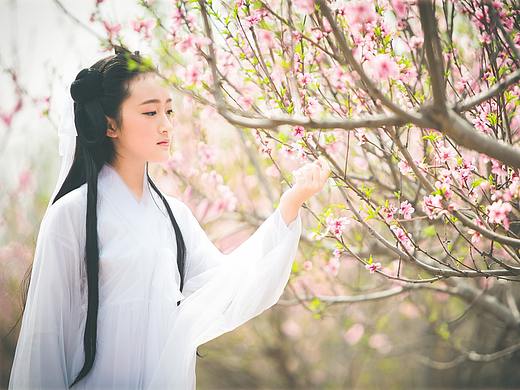 桃花诺
