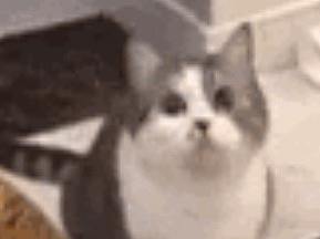 自我推广以及圣诞招贴