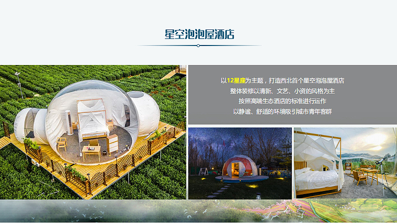 2022白鹿原东岭文创文旅休闲营地策划提案-50P