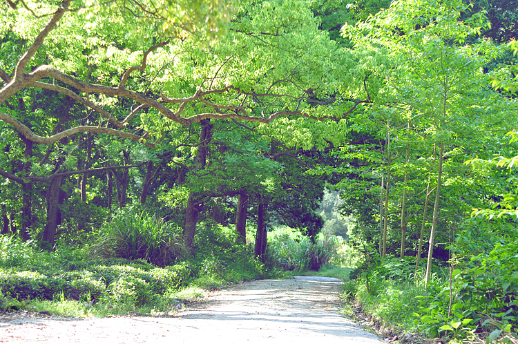 本朴中国·高悬经幡于净土庐山 · 祈福回向至四川雅安 · 众生安乐 · 天下康宁（图ZOTMyMjc2MA==） - 人文/纪实摄影 - 站酷设计师素禾kiki原创素材 - 站酷ZCOOL