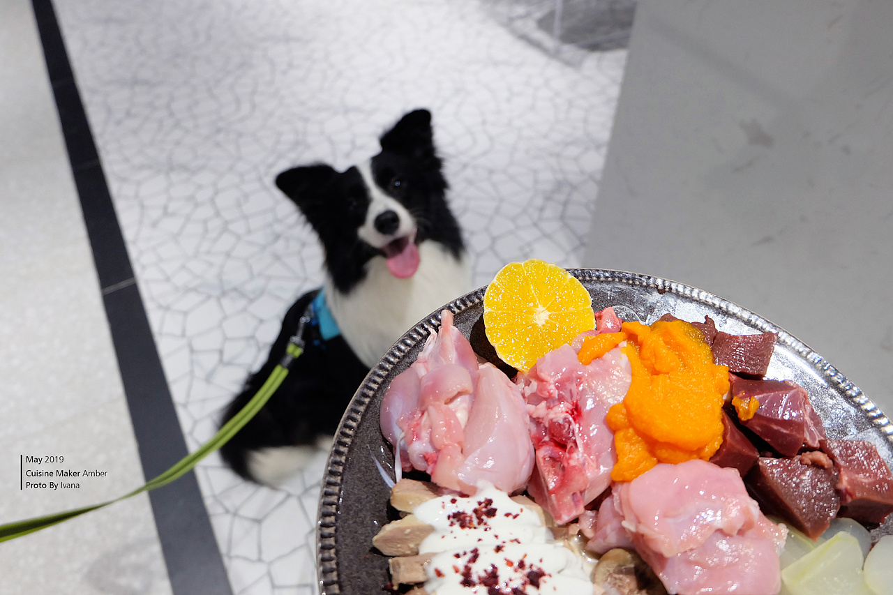 武汉宠物食品拍摄|狗粮|猫粮|零食|RUIFENG锐锋摄影_锐锋美食摄影-站酷ZCOOL