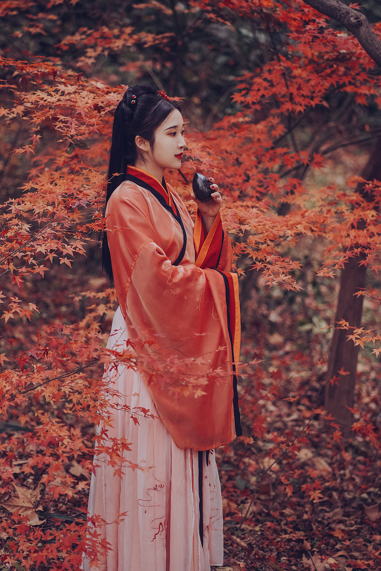 恋秋(客片分享)