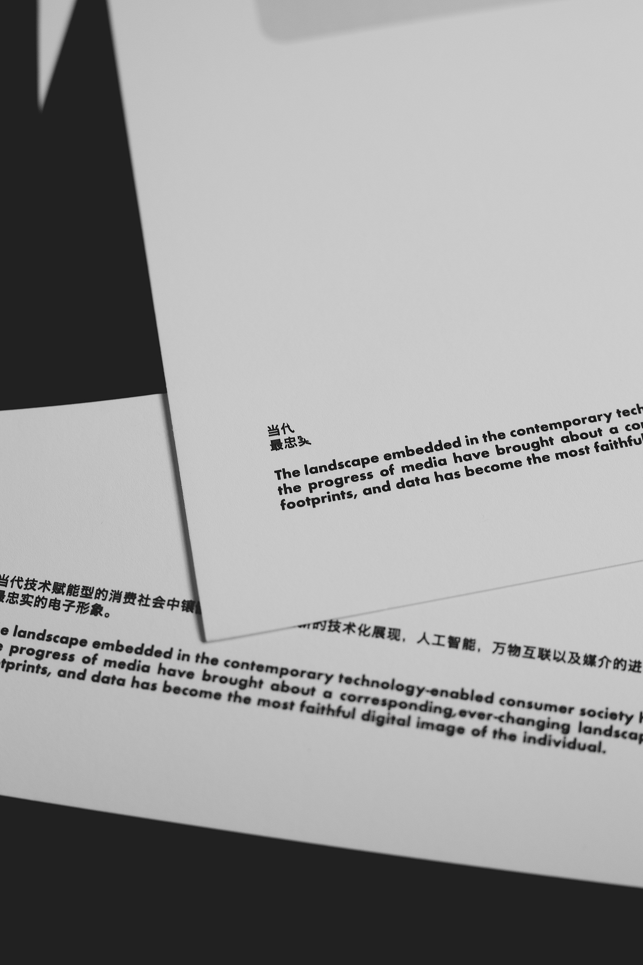 LandScape Society / 景观社会 Poster Design