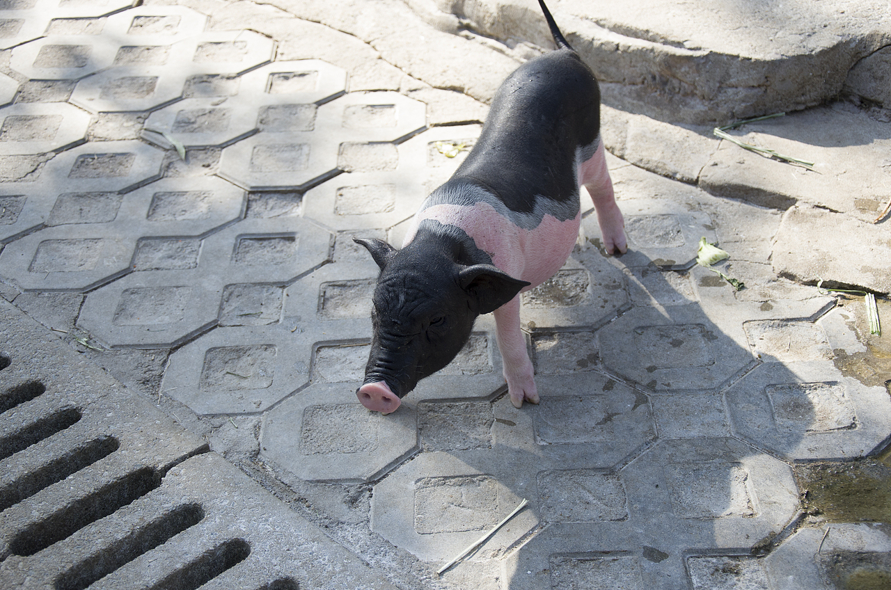 10.16广州行（图ZNjE3Njk0OTY=） - 风光摄影 - 站酷设计师袁勇的作品合集原创素材 - 站酷ZCOOL