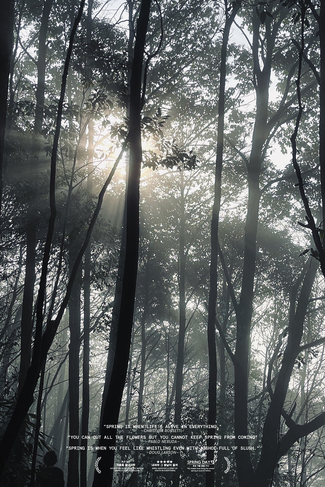 莆田石谷解户外随拍