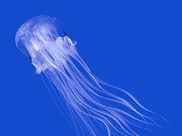 【作品集】自學(xué)C4D以來一年多的練習(xí)與原創(chuàng)作品