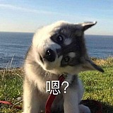 惊蛰的寄生兽的头像