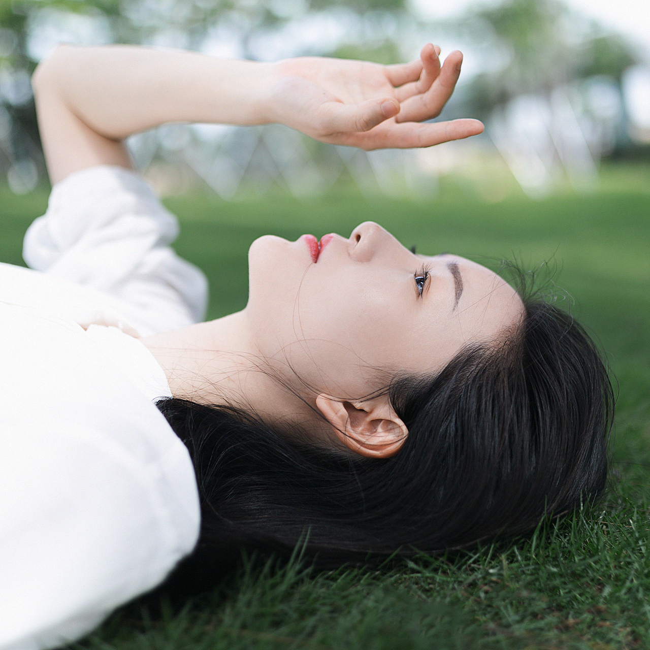 今夜的晚风,吹向哪里