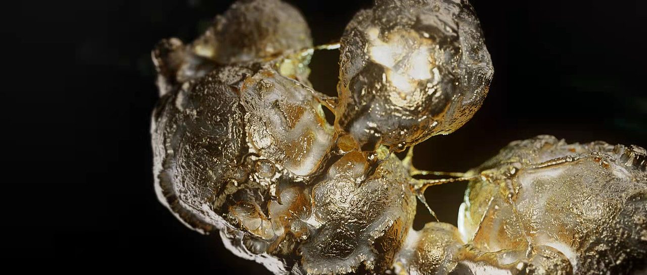 2022.二月-51个成长记录打卡-GROWTH FACTOR（图ZMjkxMjg3Nzgw） - 动画/影视 - 站酷设计师GYD_D原创素材 - 站酷ZCOOL