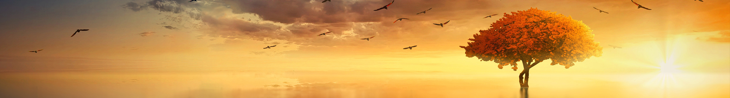 magic_show的個人主頁（封面預覽） - 主頁封面設置 - 站酷設計師magic_show原創(chuàng)素材 - 站酷ZCOOL