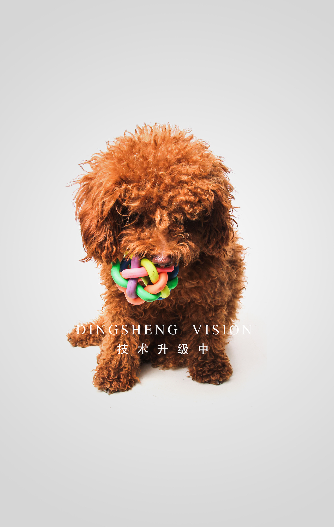 摄影练习（图ZMTE0MzkzNzI=） - 其他摄影 - 站酷设计师will佳原创素材 - 站酷ZCOOL